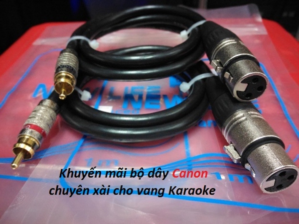 Vang cơ NEX New FX20Plus có tính năng reverb Karaoke