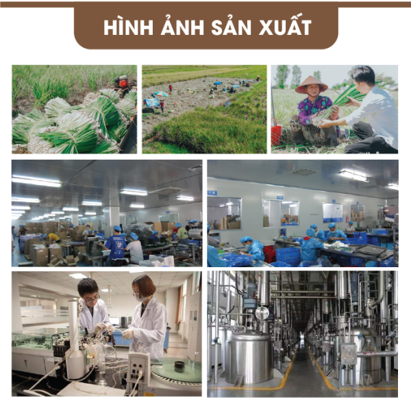 Xịt khử mùi tinh dầu Homer Thiên nhiên - Giúp kháng khuẩn, khử mùi, thanh lọc không khí dung tích 250ml