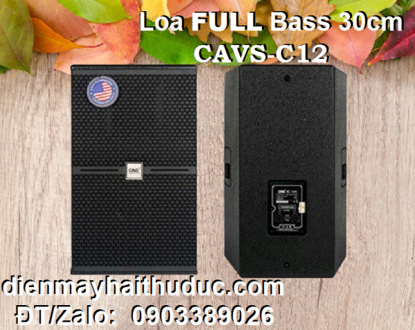 Loa sân khấu Bass 30cm CAVS C12 công suất đạt 500W