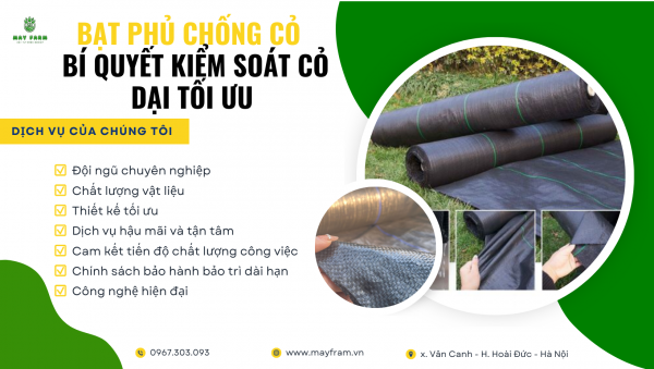 Bạt Phủ Chống Cỏ: Bí Quyết Kiểm Soát Cỏ Dại Tối Ưu