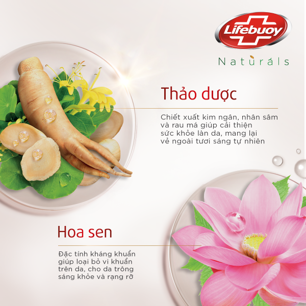 Sữa Tắm Lifebuoy Detox Diệt Khuẩn 800G chiết xuất từ thiên nhiên ngừa mùi cơ thể và sạch sâu khỏi bụi mịn (Chai) (bao bì tùy lô nhập hàng)